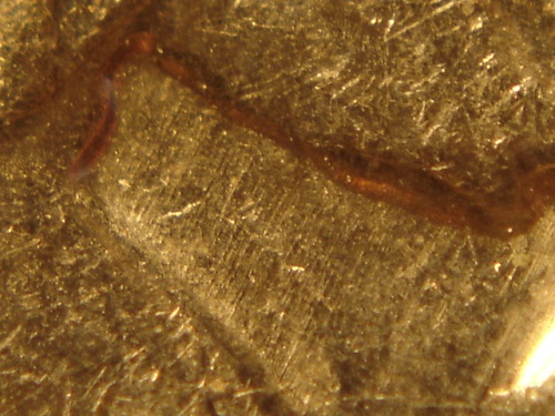 JFK-Half-Dollar-Roll-Hunters:-Silver,-Proofs-And-Other-Finds